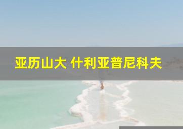 亚历山大 什利亚普尼科夫